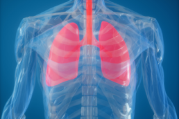 nitric oxide supporting lung health