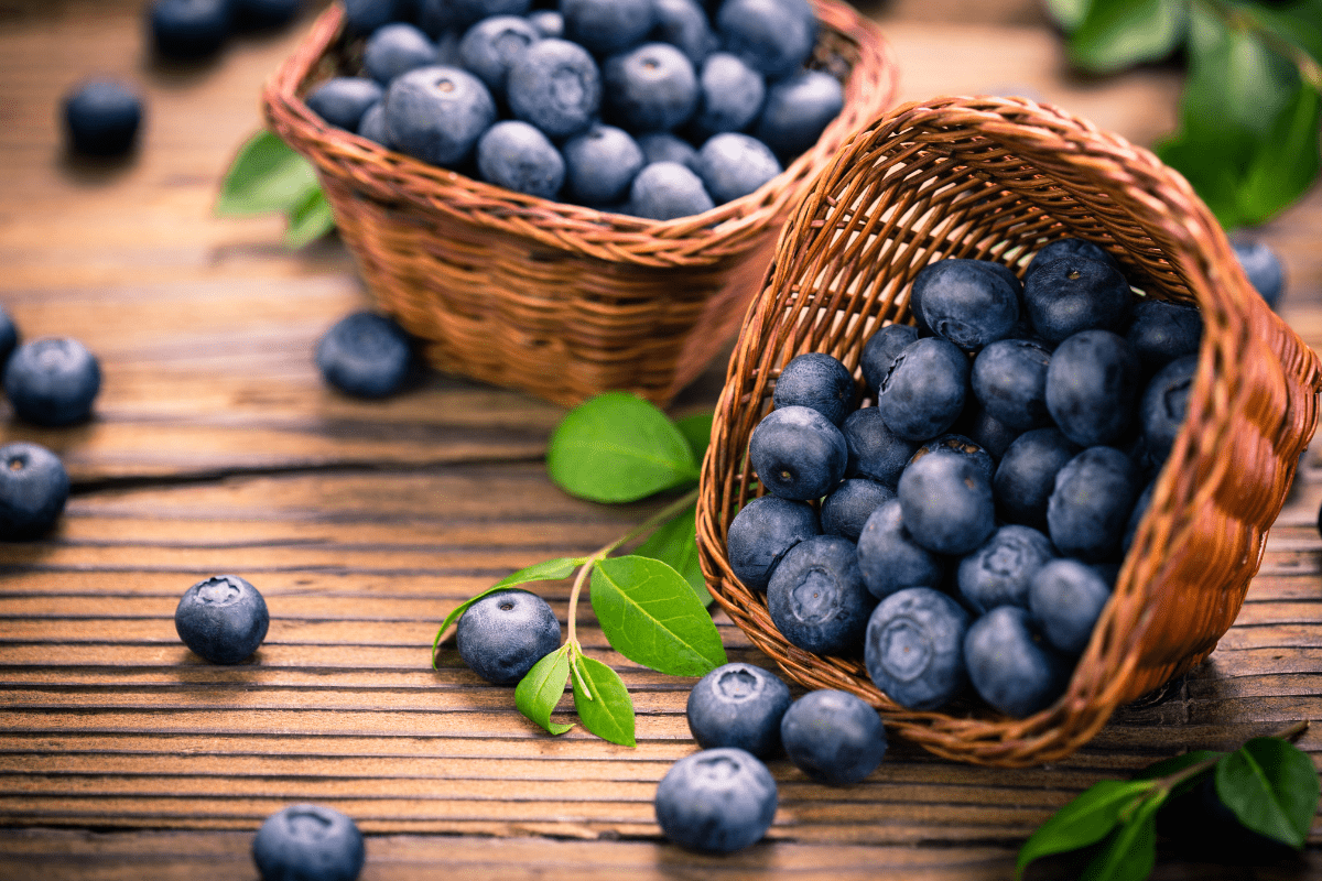 Blueberries 101: Benefits, Uses, and more